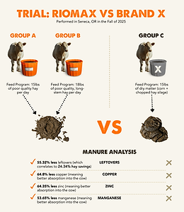 brand x versus riomax
