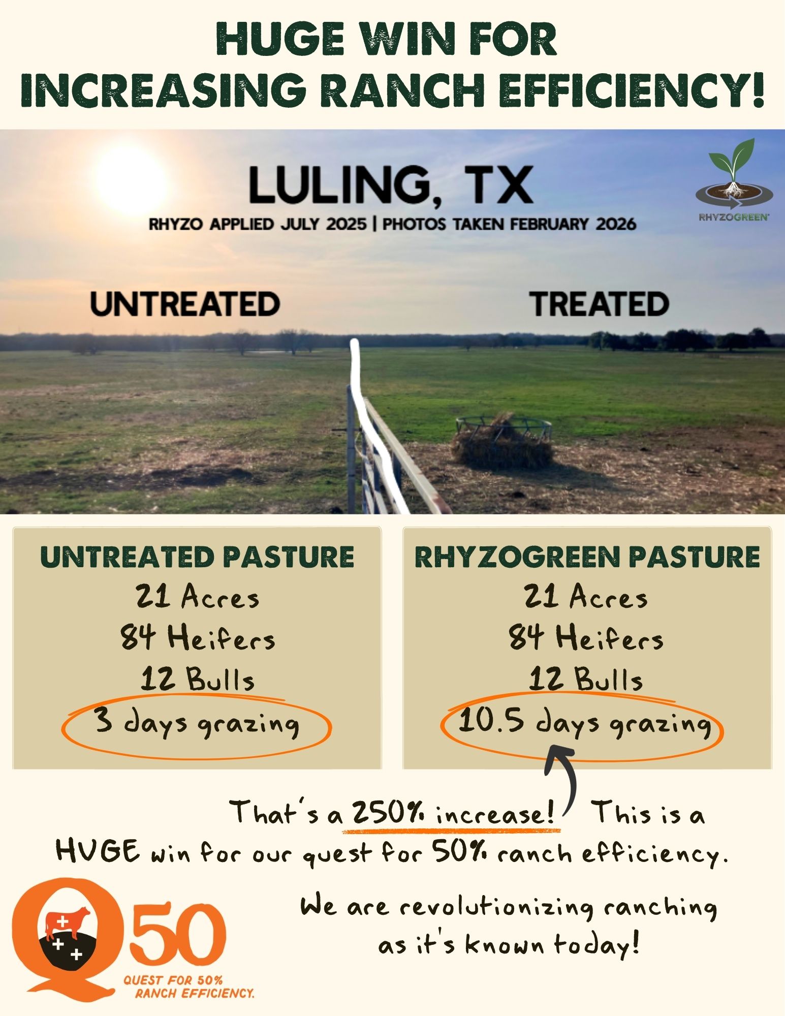 Rhyzogreen infographic (1)