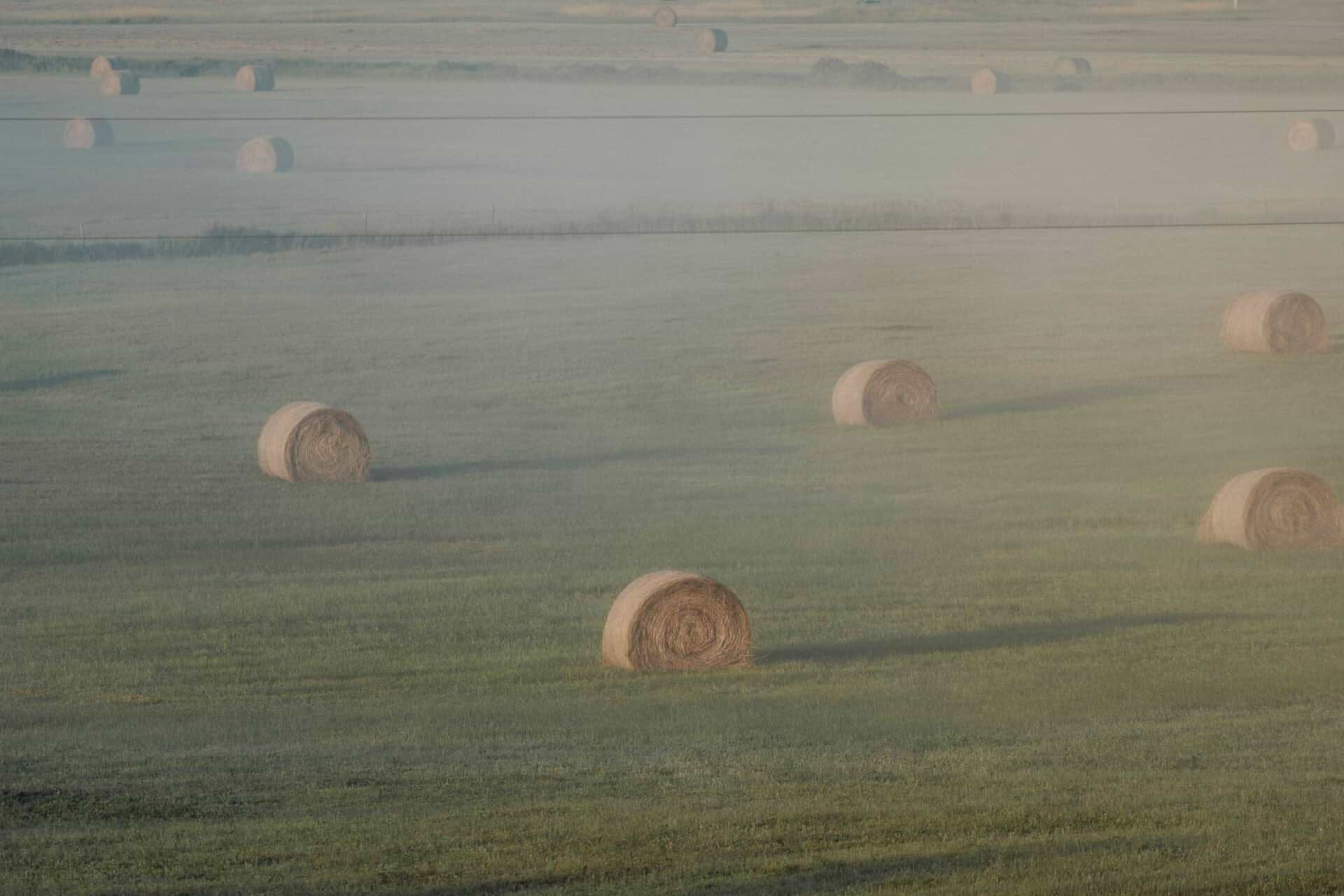 Shane Kellers Hay 01