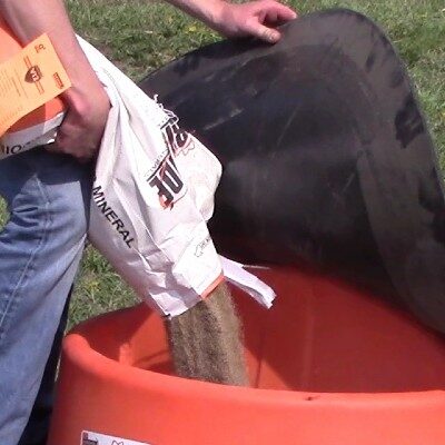 Lick tubs vs Loose Mineral RioGrande loose mineral being fed to cattle