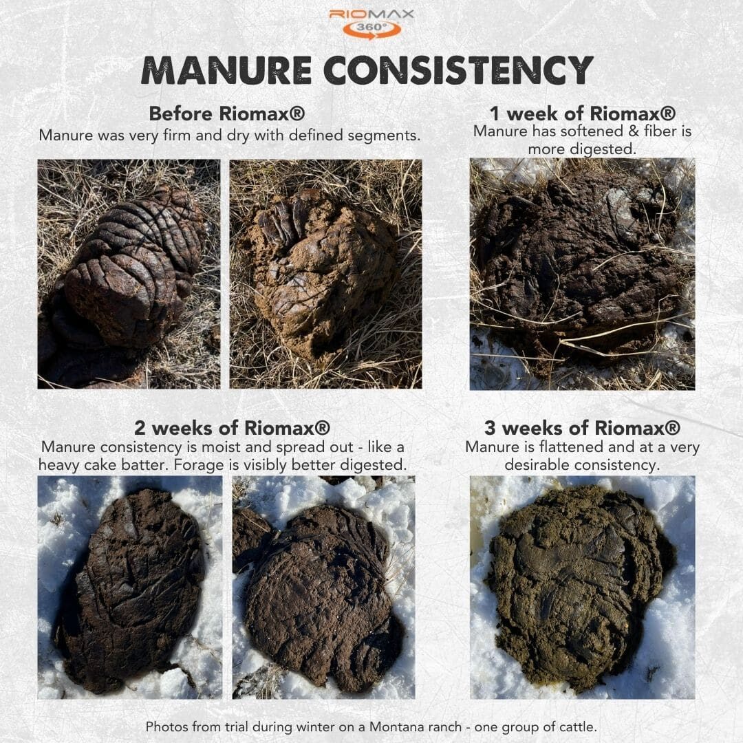 Manure Consistency (1)