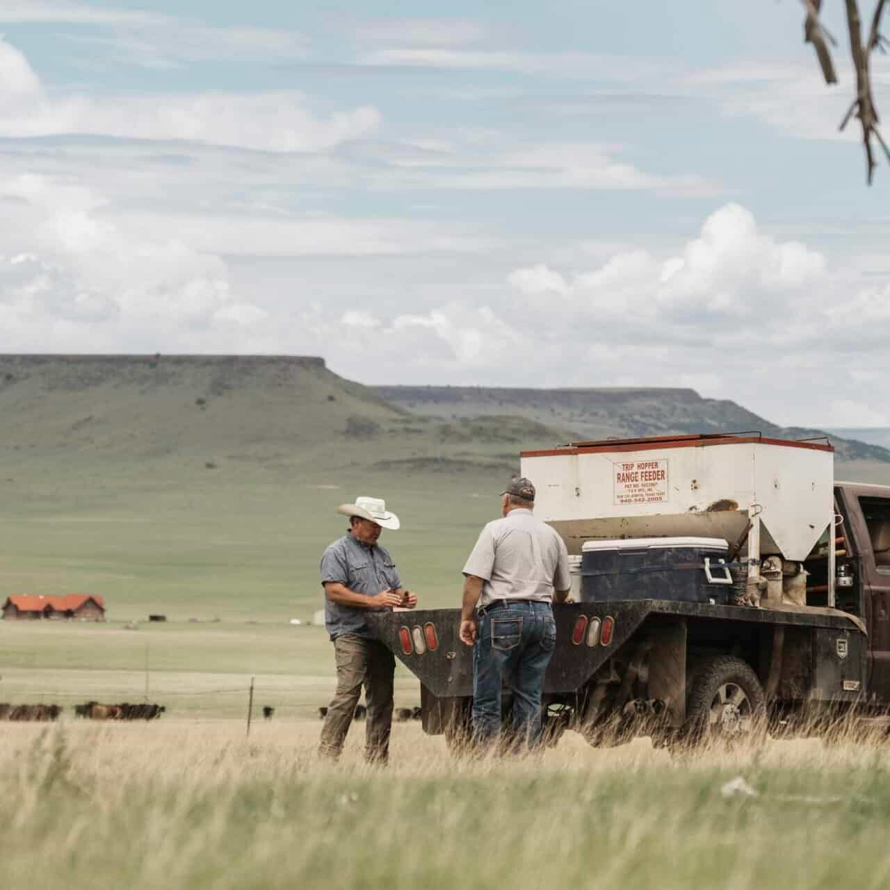V7 Ranch-23