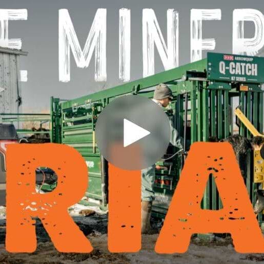 the mineral trial