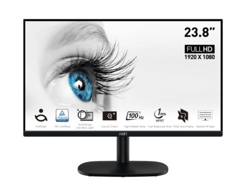 מסך מחשב עסקי MSI PRO MP245V