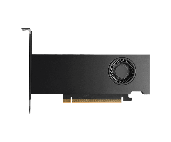 כרטיס מסך Pny Nvidia RTX PRO 2000 Blackwell 16GB GDDR7 Bulk