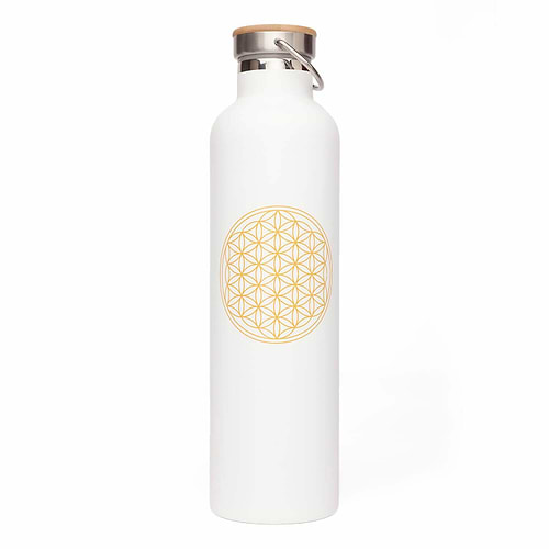 garrafa-flordavida-1l
