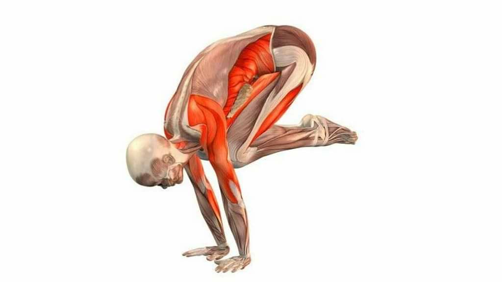 bakasana-yogateria-10