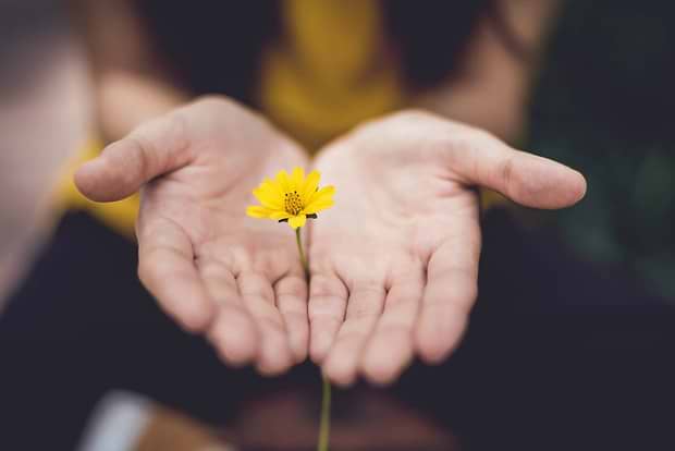 setembro-amarelo-yogateria