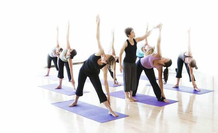 Yogateria.com.br 48