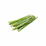 citronella-yogateria