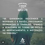 Livro - A coragem de ser imperfeito