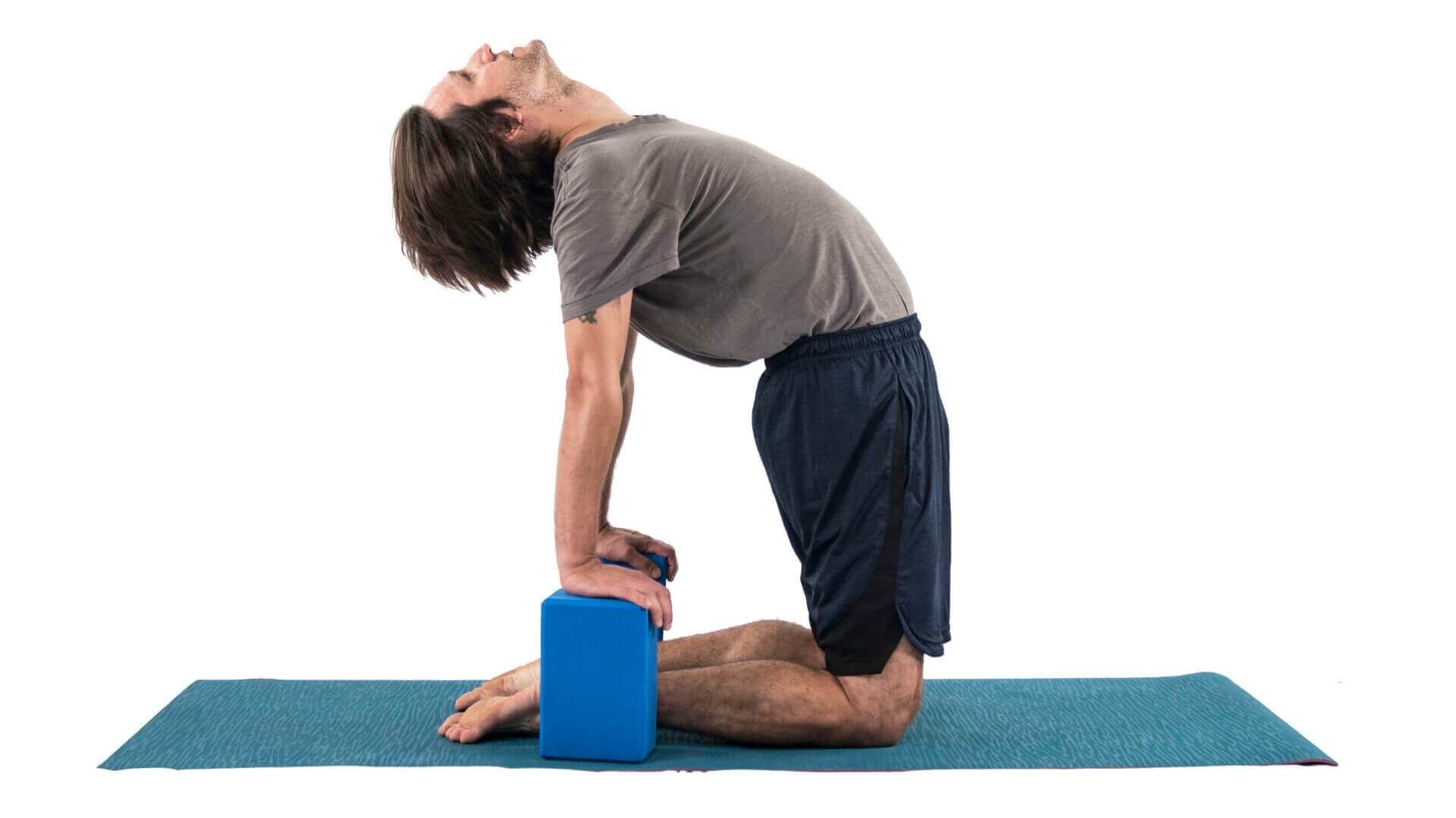 postura-camelo-yogateria6