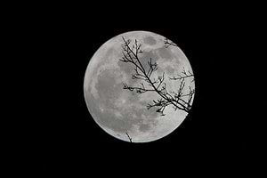 Fases da Lua 9