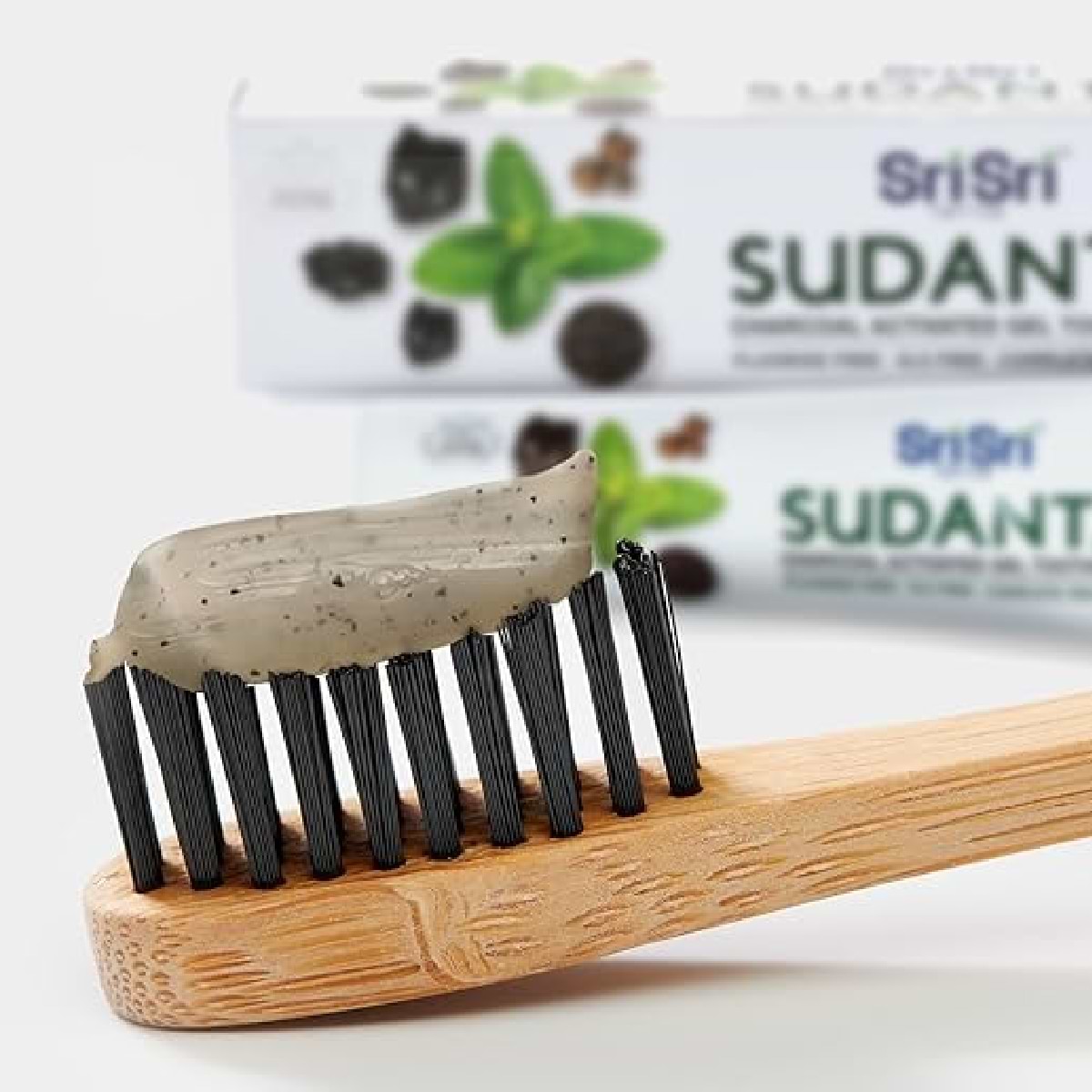 Sudanta Gel Dental Sri Sri Tattva 100g 1