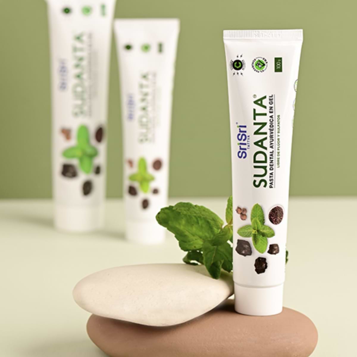 Sudanta Gel Dental Sri Sri Tattva 100g 3