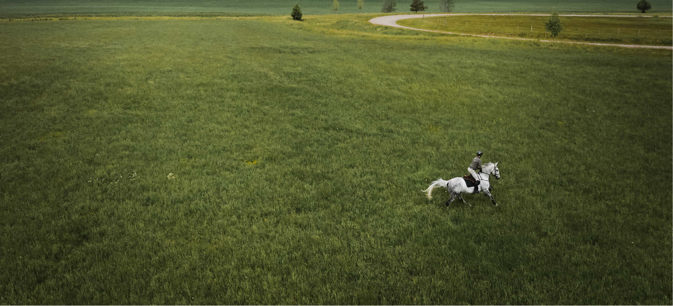 video placeholder