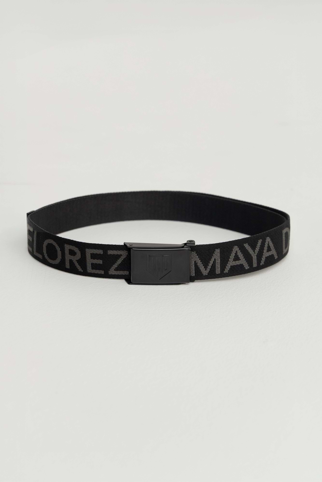 Logo Webbing Belt