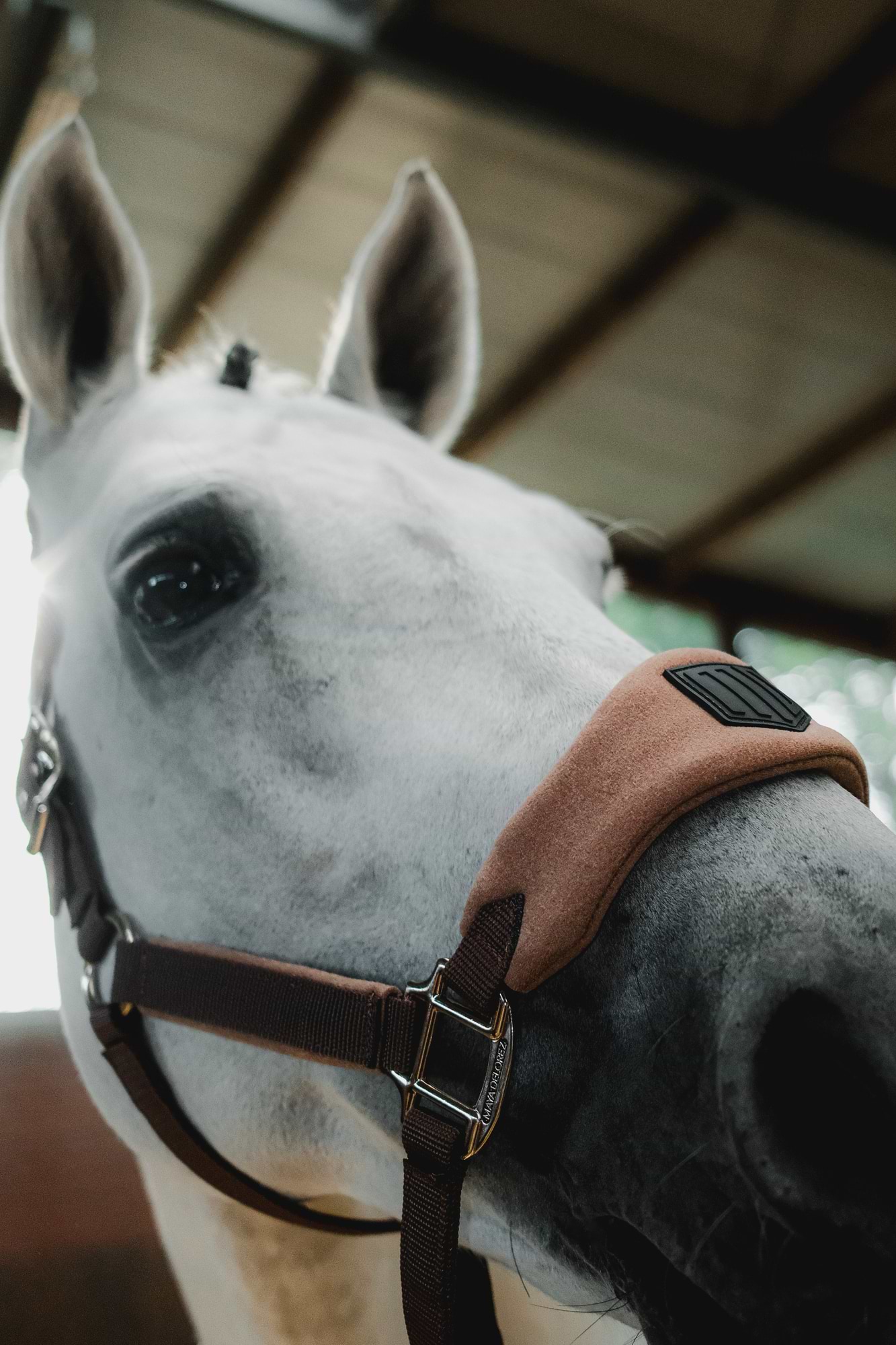 Ultra-Soft Padded Halter