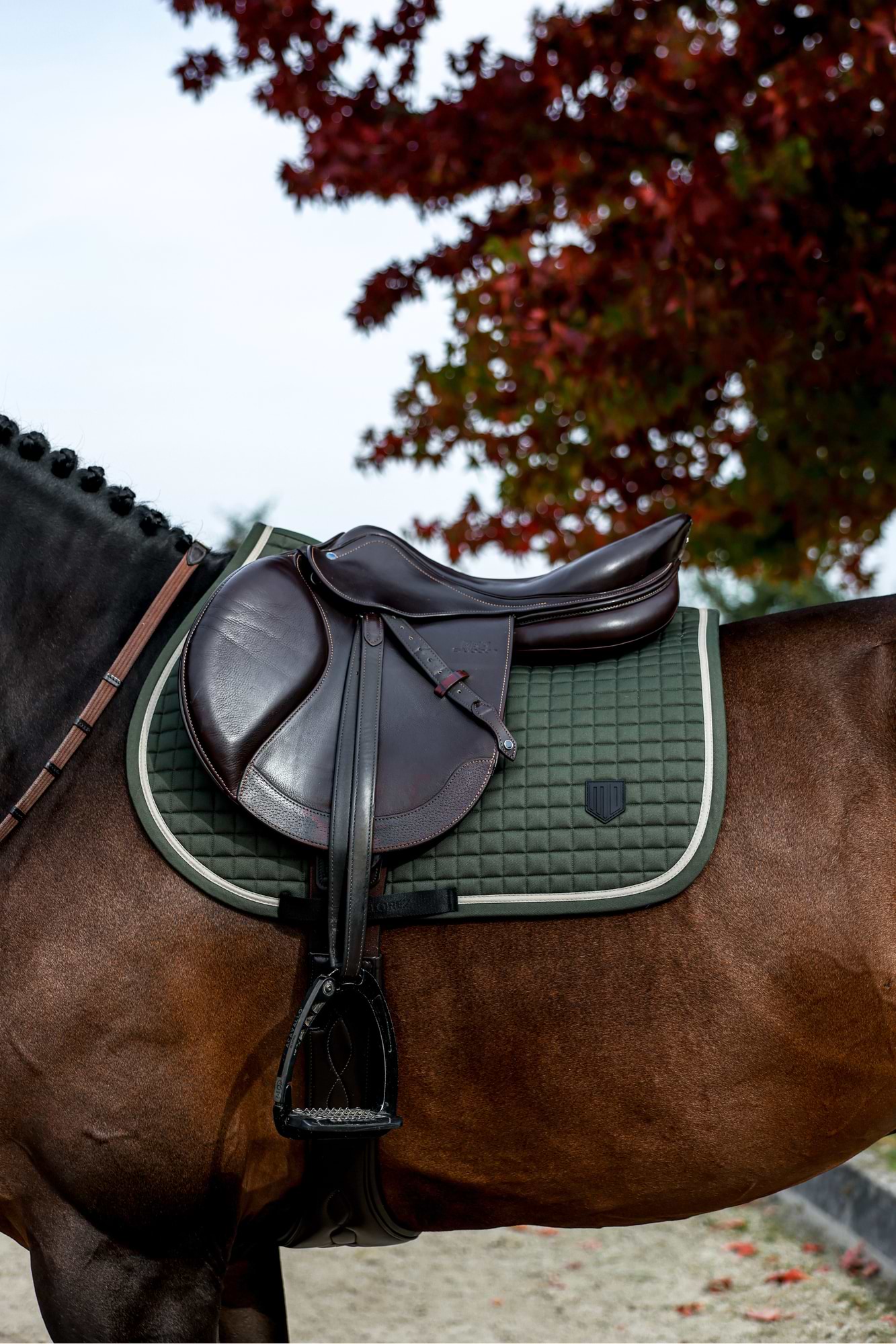 Minimalist Jumping Saddle Pad