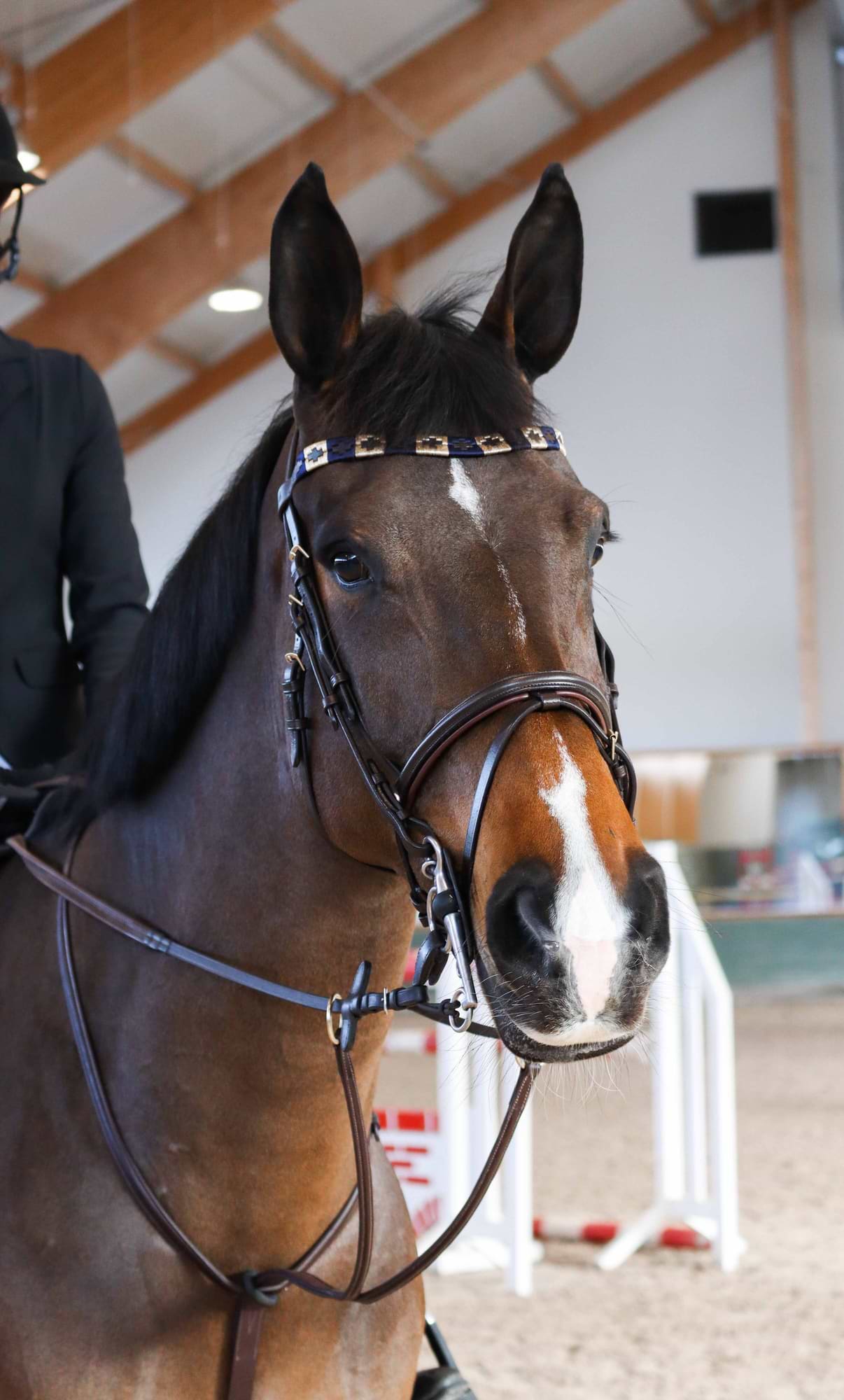 Browband