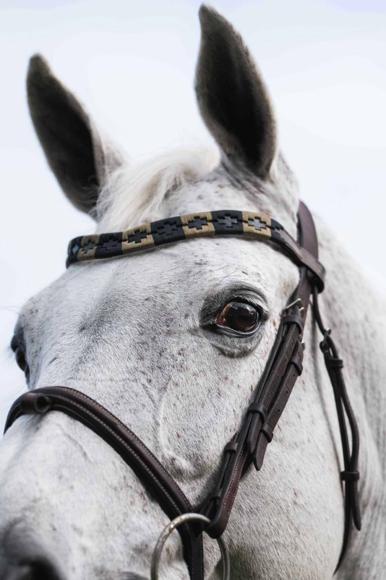 Browband