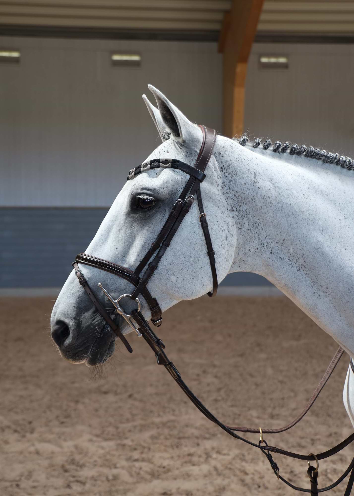 Browband