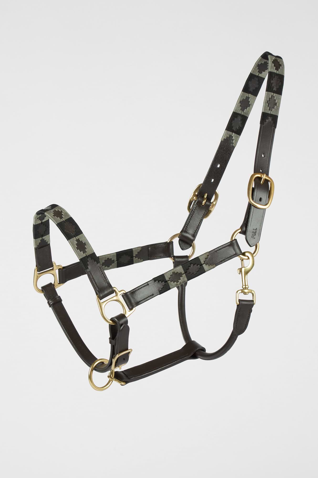 Licol en cuir