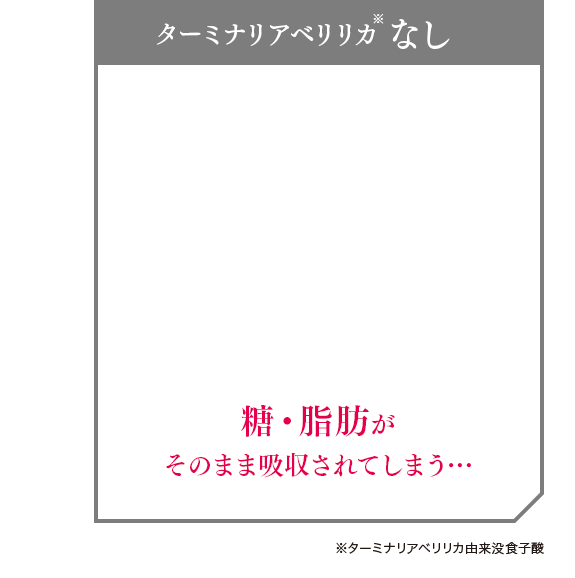 ※ターミナリアベリリカ由来没食子酸