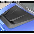 Hood Scoop