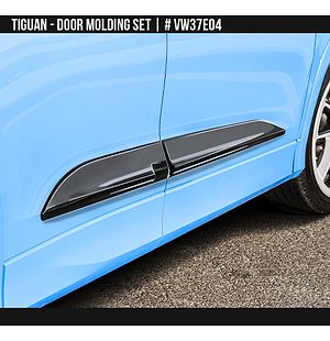 Volkswagen Tiguan 2025-2026 Door Moldings