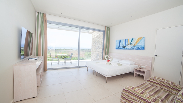 One of the premium rooms