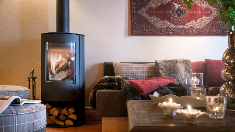 The warming woodburner