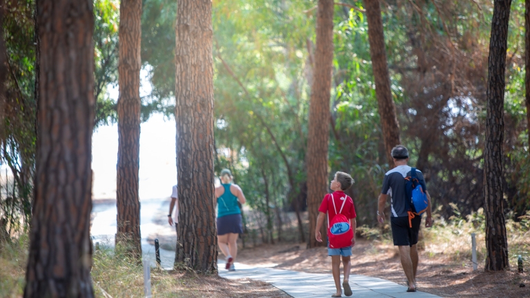 walking through the pine trees to the beach