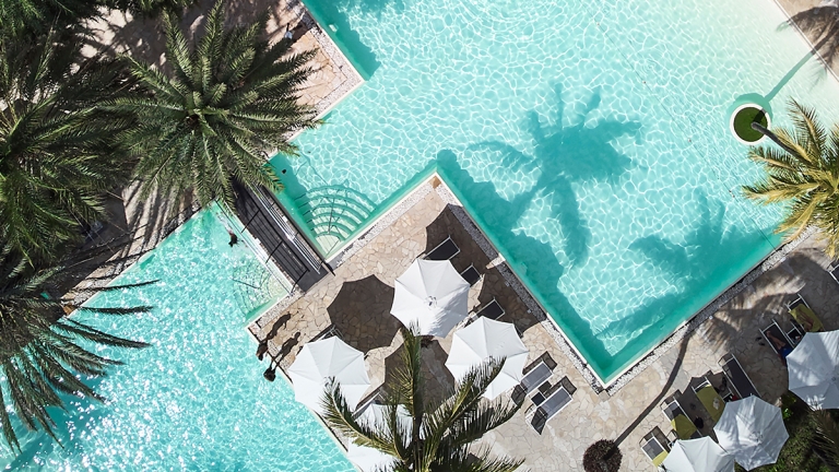 Neilson x The Ravenala Attitude