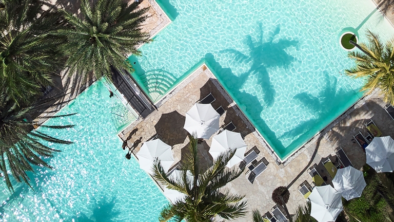 Neilson x The Ravenala Attitude