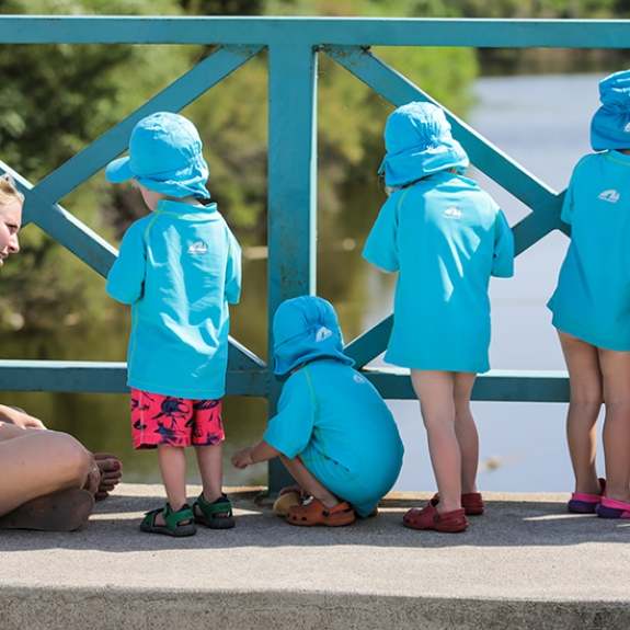 Sea Urchins on the look-out for turtles