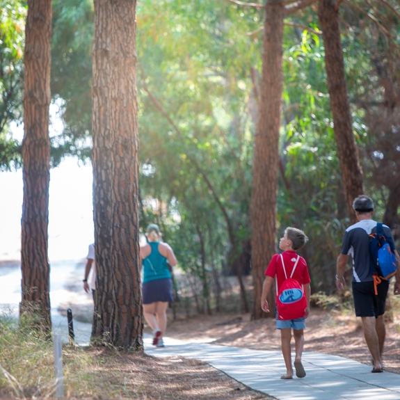 walking through the pine trees to the beach
