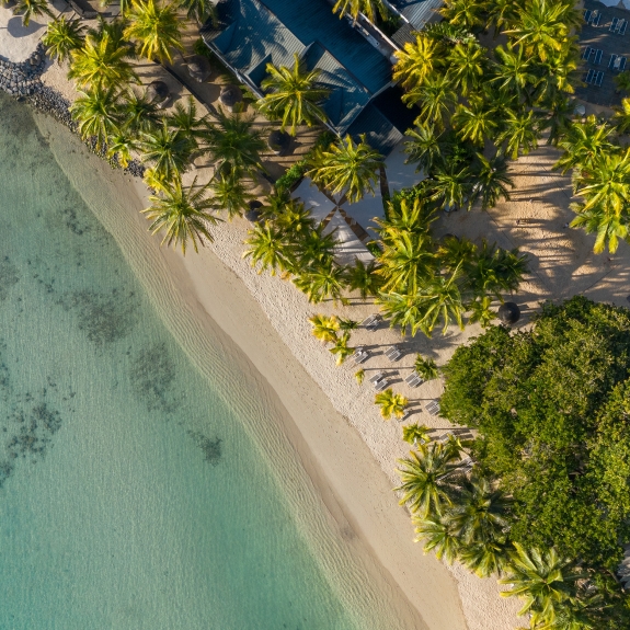 Neilson x The Ravenala Attitude