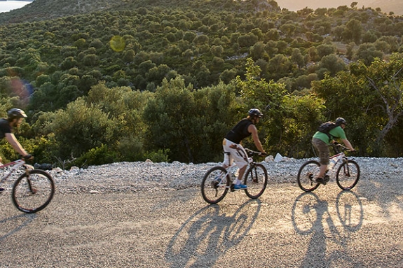 group of people cycling at sunset