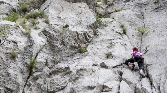 Families who like to try something unusual