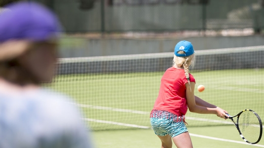 Families with a competitive streak