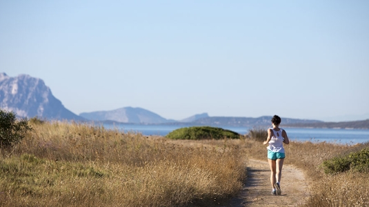 getting around Sardinia