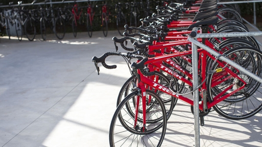 You'll definitely need a bike!