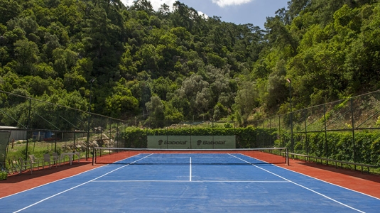 Hard courts