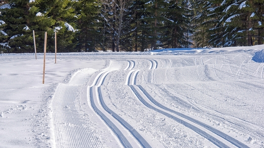 cross country trails