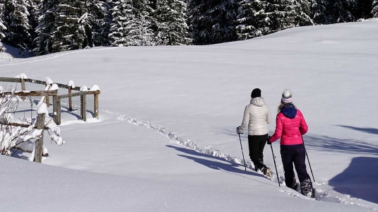 winter walking in val di fassa