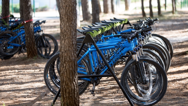 Bikes at Alana Beach Club 