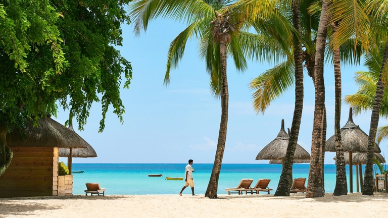 Neilson x The Ravenala Attitude