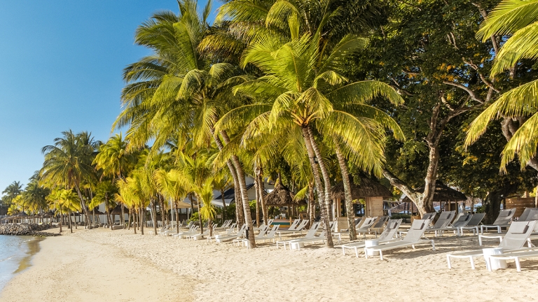 Neilson x The Ravenala Attitude