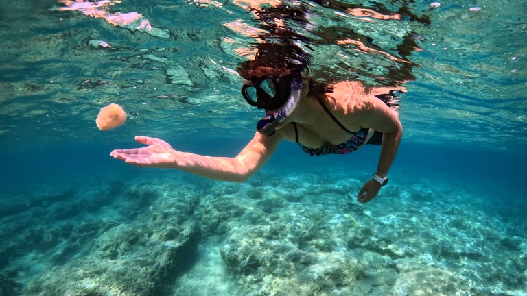 Reef snorkelling at Neilson | The Ravenala Attitude